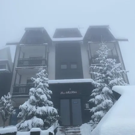 Jolly Kop Petkoski * Kopaonik